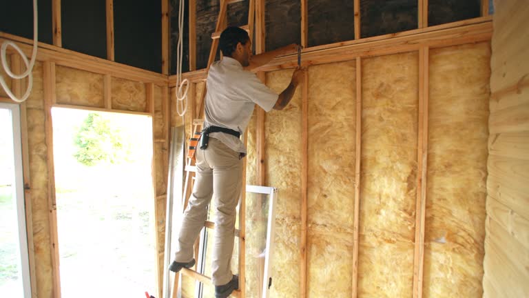 Eco-Friendly or Green Insulation Solutions in Highland Park, PA